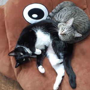 Meet your Posher, Christy